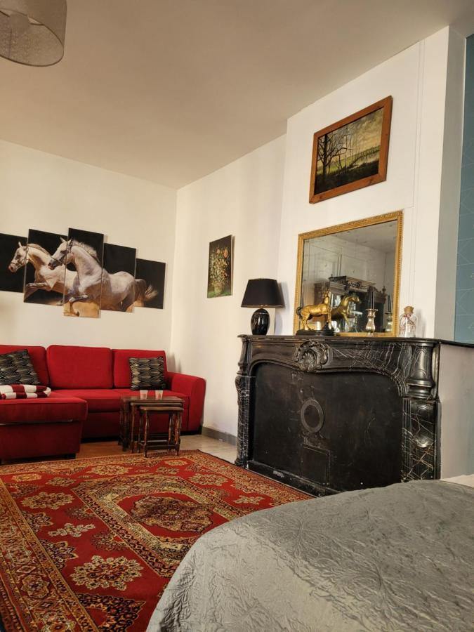 Studio Sequoia Au Pied Du Chateau ソミュール エクステリア 写真